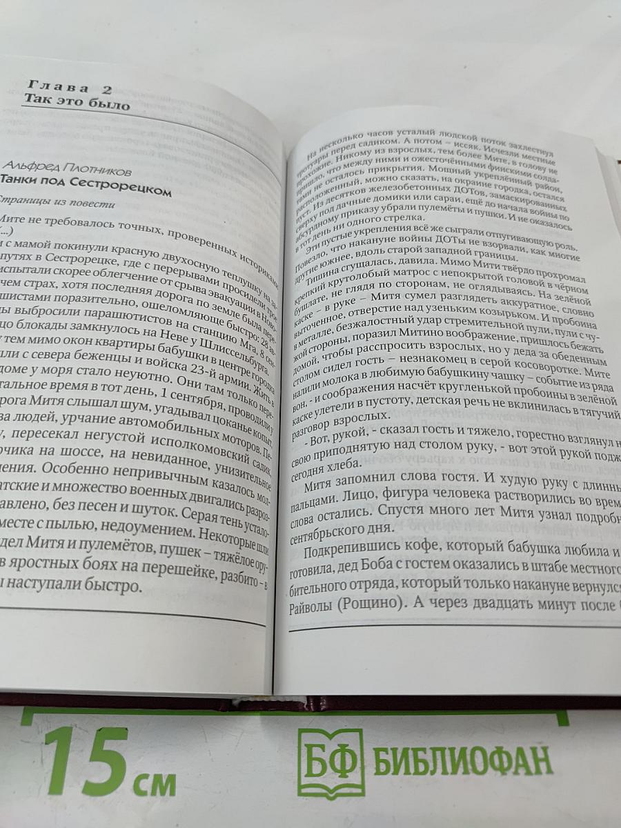 Непокорённый рубеж. Том I. Родина в опасности