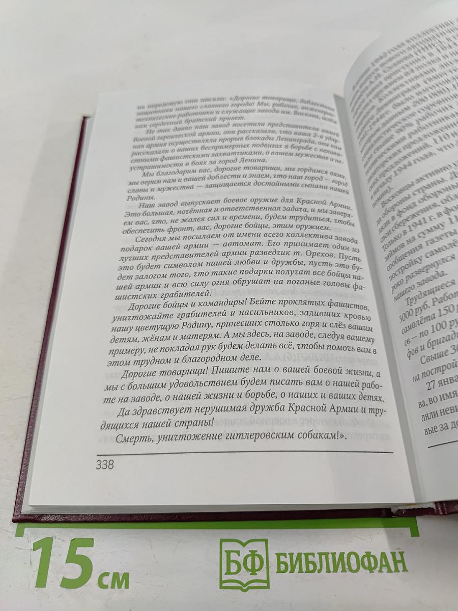 Непокорённый рубеж. Том I. Родина в опасности