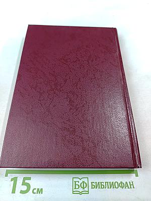 Непокорённый рубеж. Том I. Родина в опасности