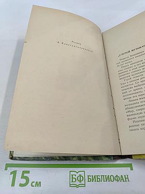 Слепой музыкант