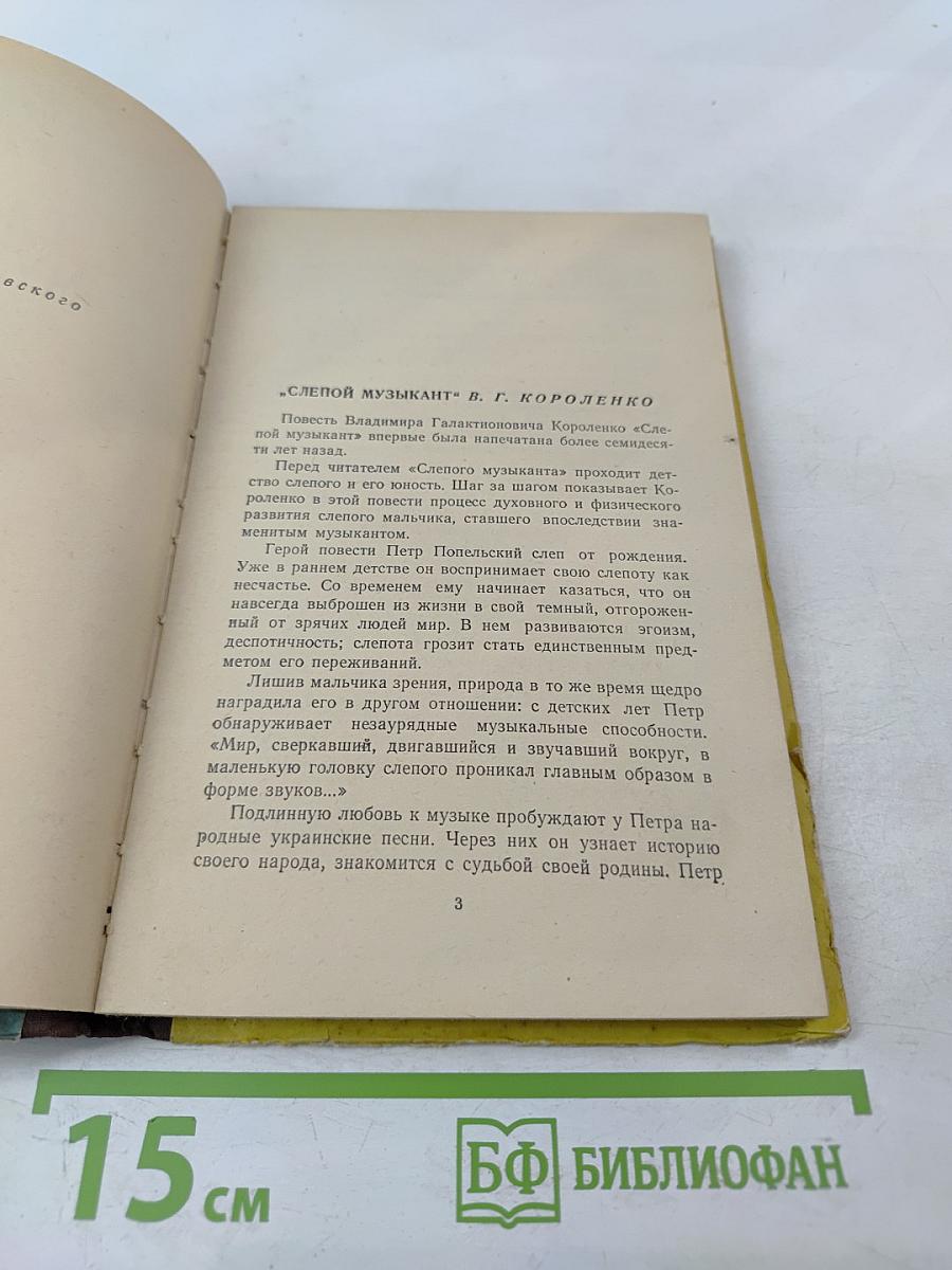 Слепой музыкант