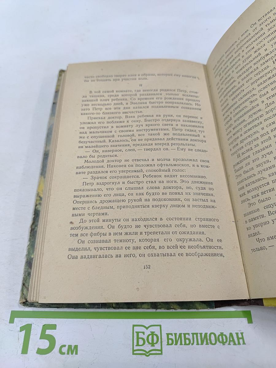 Слепой музыкант