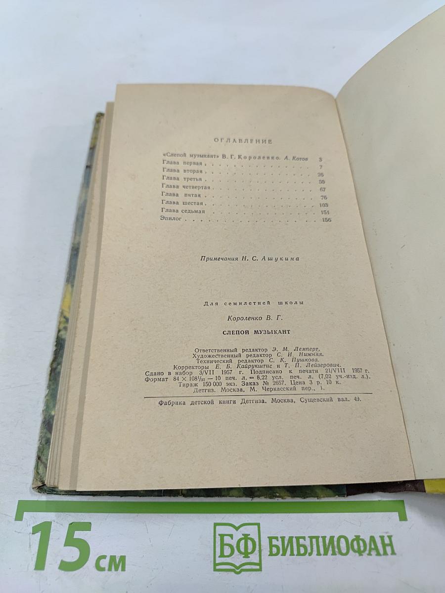 Слепой музыкант