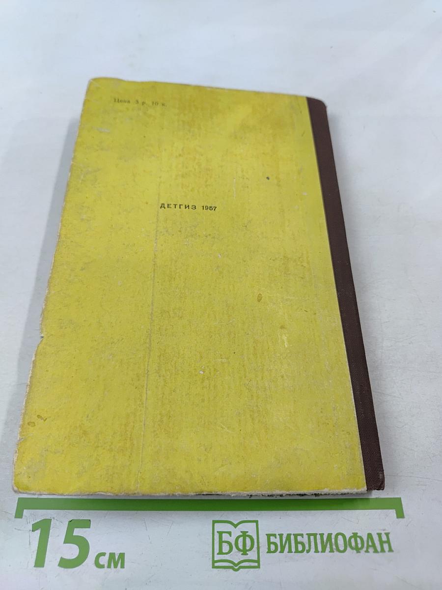 Слепой музыкант