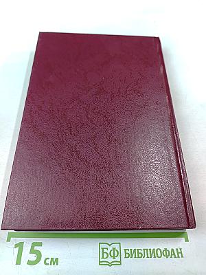 Непокорённый рубеж. Том II. Битва за Победу