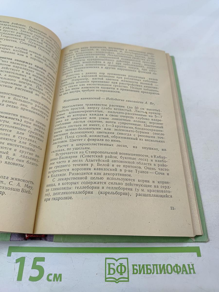 Лекарственные растения и их применение