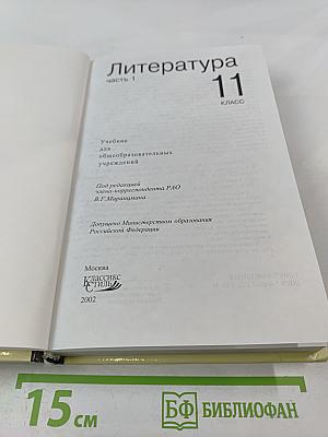 Литература 11 класс, Часть 1