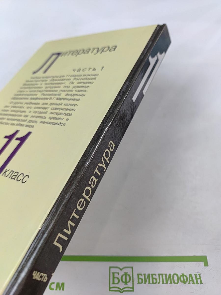 Литература 11 класс, Часть 1