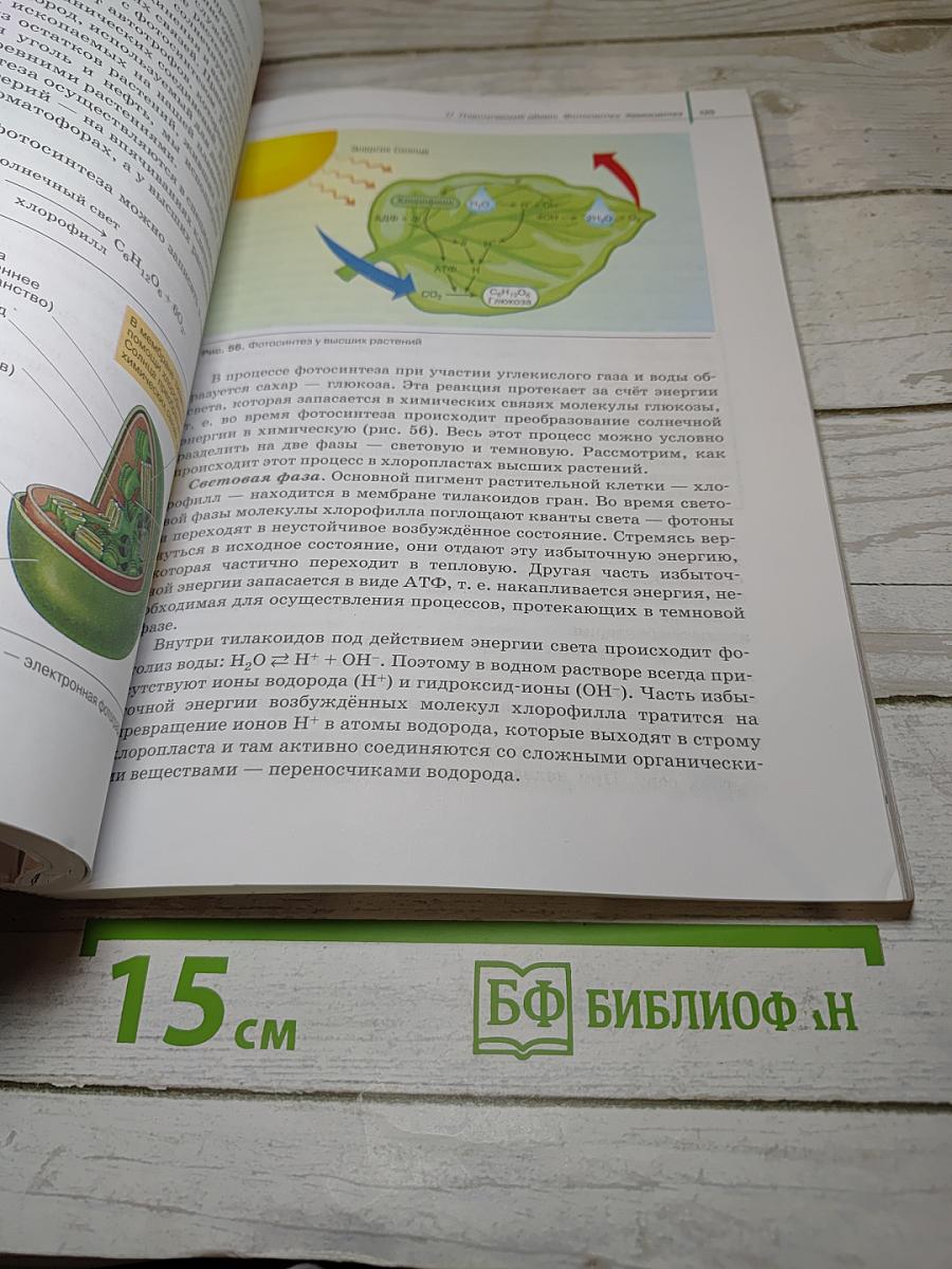 Биология. Общая биология. 10 класс