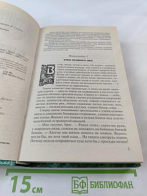Война Мага. Том второй. Миттельшпиль