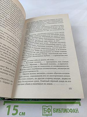 Одиночество Мага. Том 1. Книга третья цикла "Хранитель Мечей"