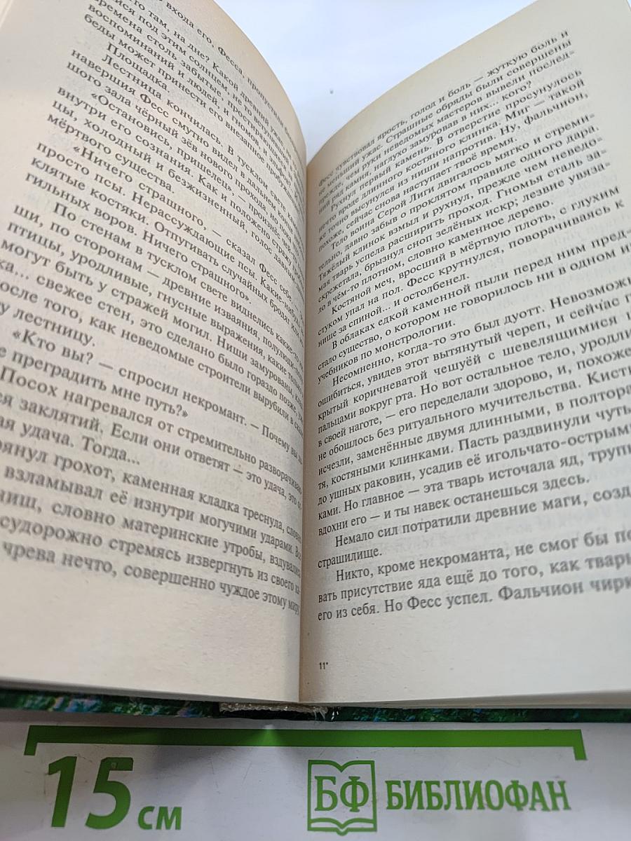 Одиночество Мага. Том 1. Книга третья цикла "Хранитель Мечей"