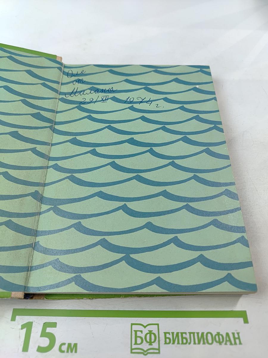 Пятнадцатилетний капитан