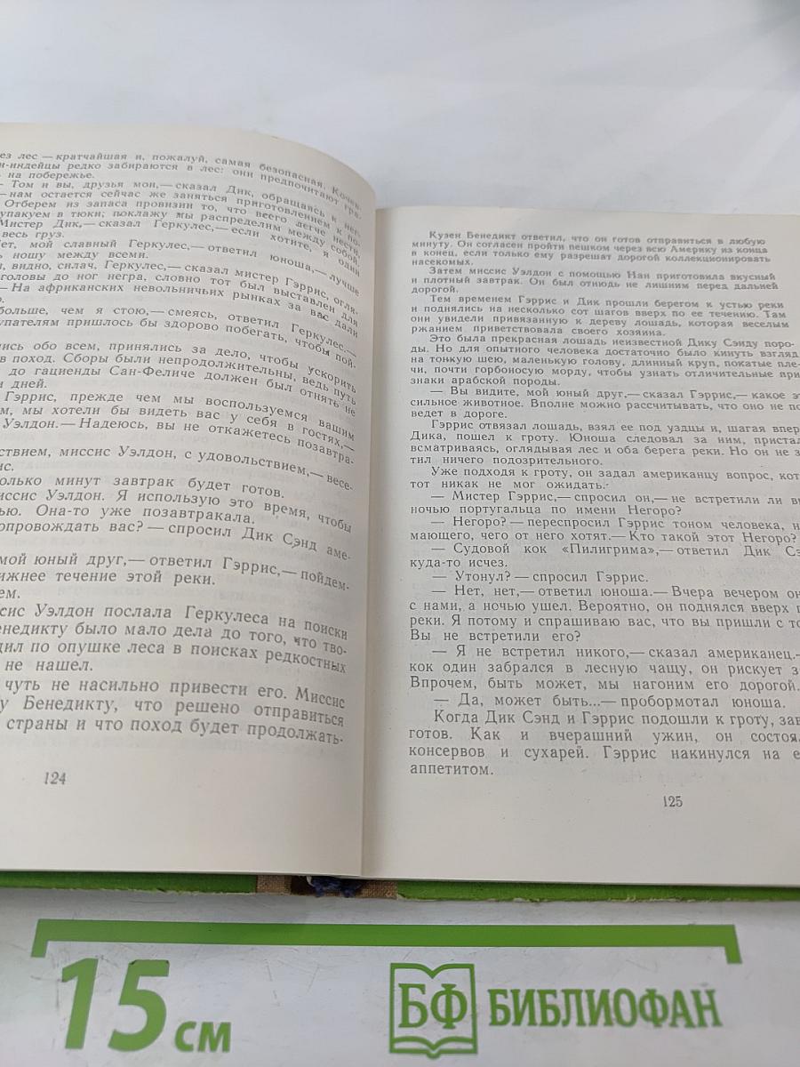 Пятнадцатилетний капитан