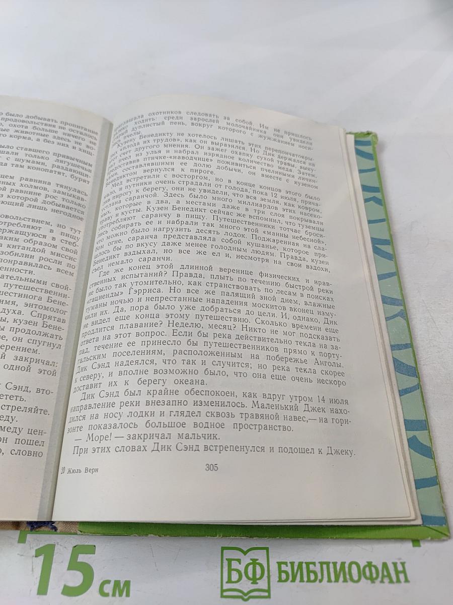 Пятнадцатилетний капитан