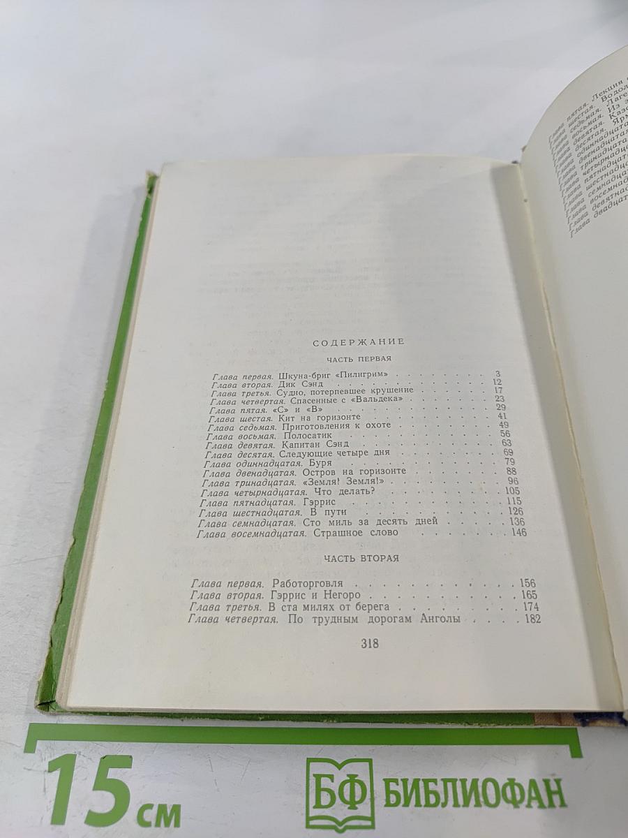 Пятнадцатилетний капитан