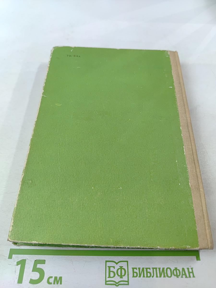 Пятнадцатилетний капитан