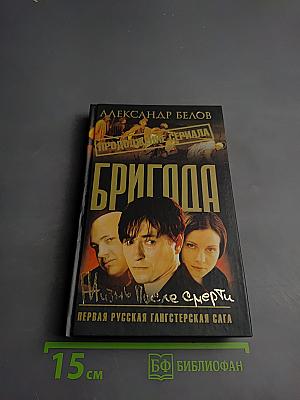 Бригада. Жизнь после смерти. Книга 9