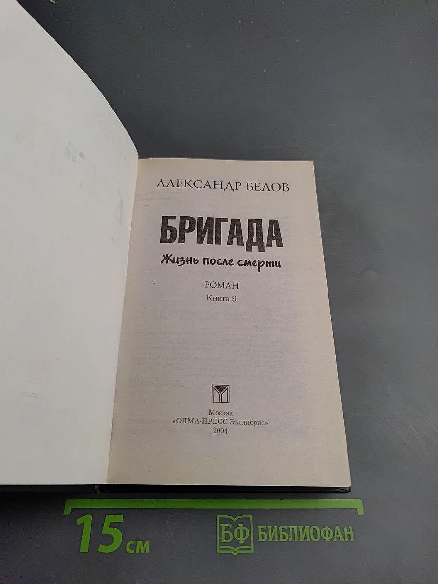 Бригада. Жизнь после смерти. Книга 9