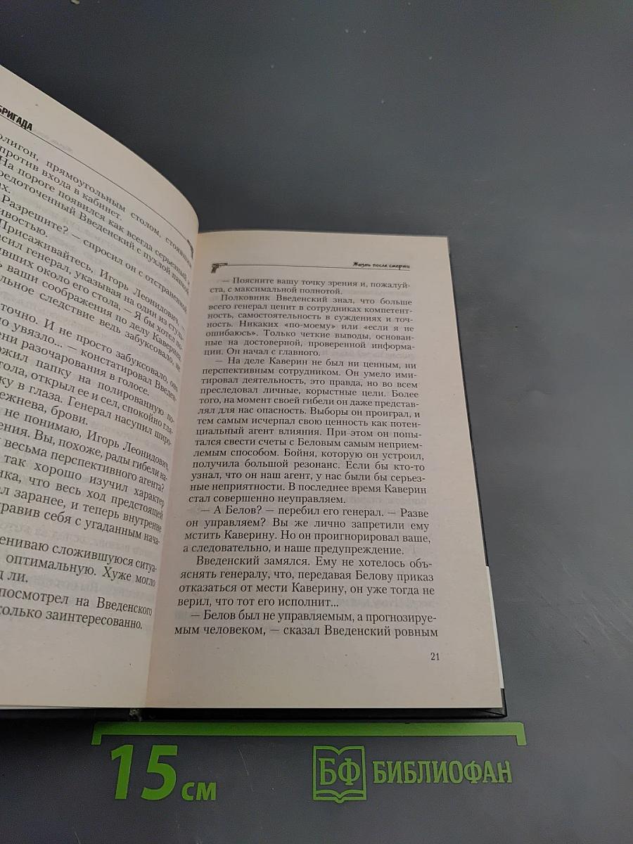 Бригада. Жизнь после смерти. Книга 9
