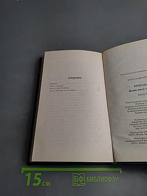 Бригада. Жизнь после смерти. Книга 9