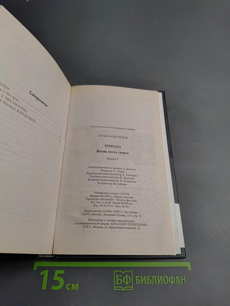 Бригада. Жизнь после смерти. Книга 9