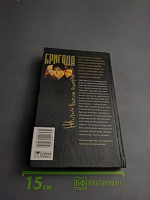 Бригада. Жизнь после смерти. Книга 9