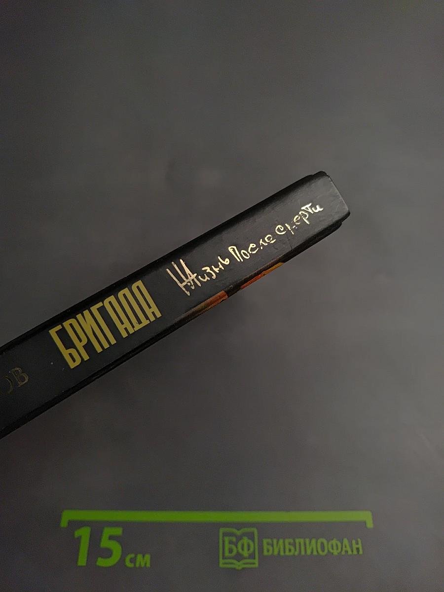 Бригада. Жизнь после смерти. Книга 9