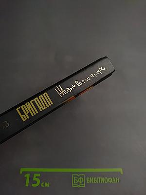 Бригада. Жизнь после смерти. Книга 9