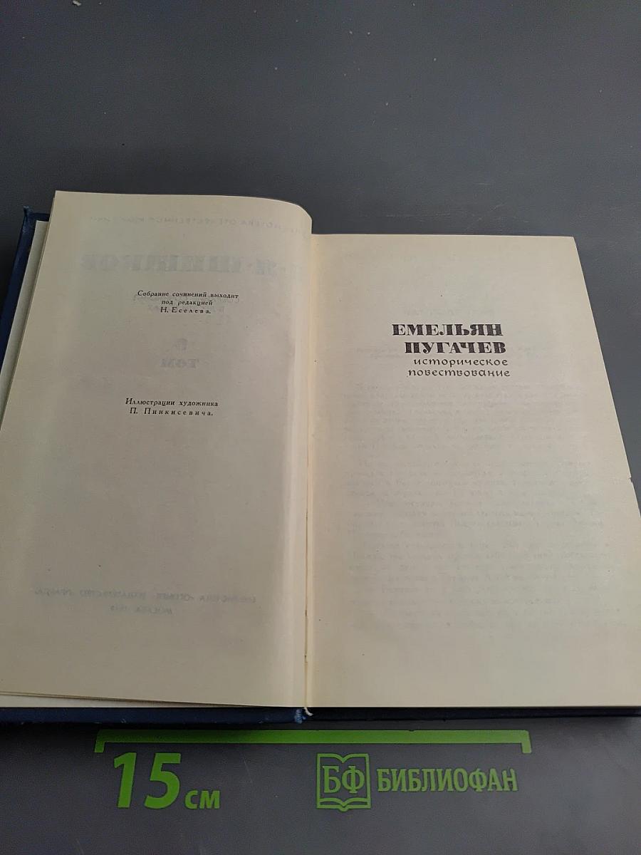 Емельян Пугачев (Книга вторая)