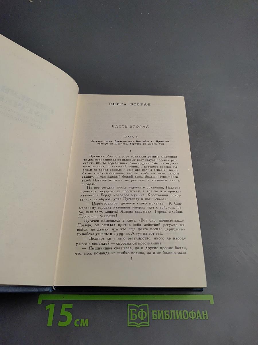 Емельян Пугачев (Книга вторая)