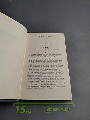Емельян Пугачев (Книга вторая)