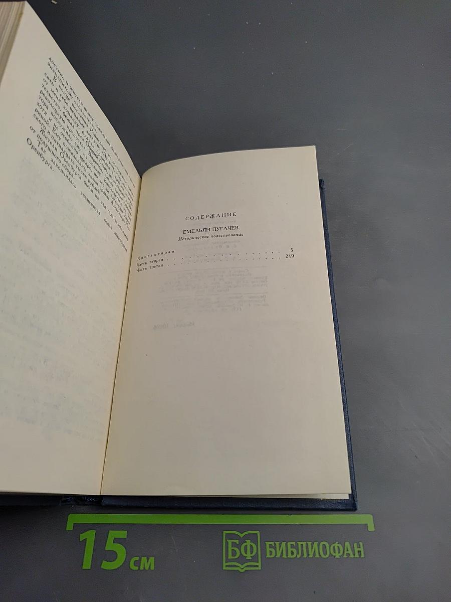 Емельян Пугачев (Книга вторая)