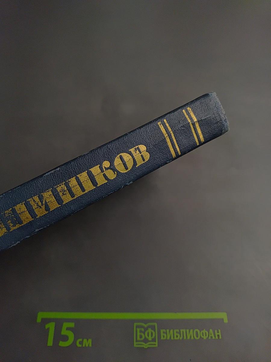 Емельян Пугачев (Книга вторая)