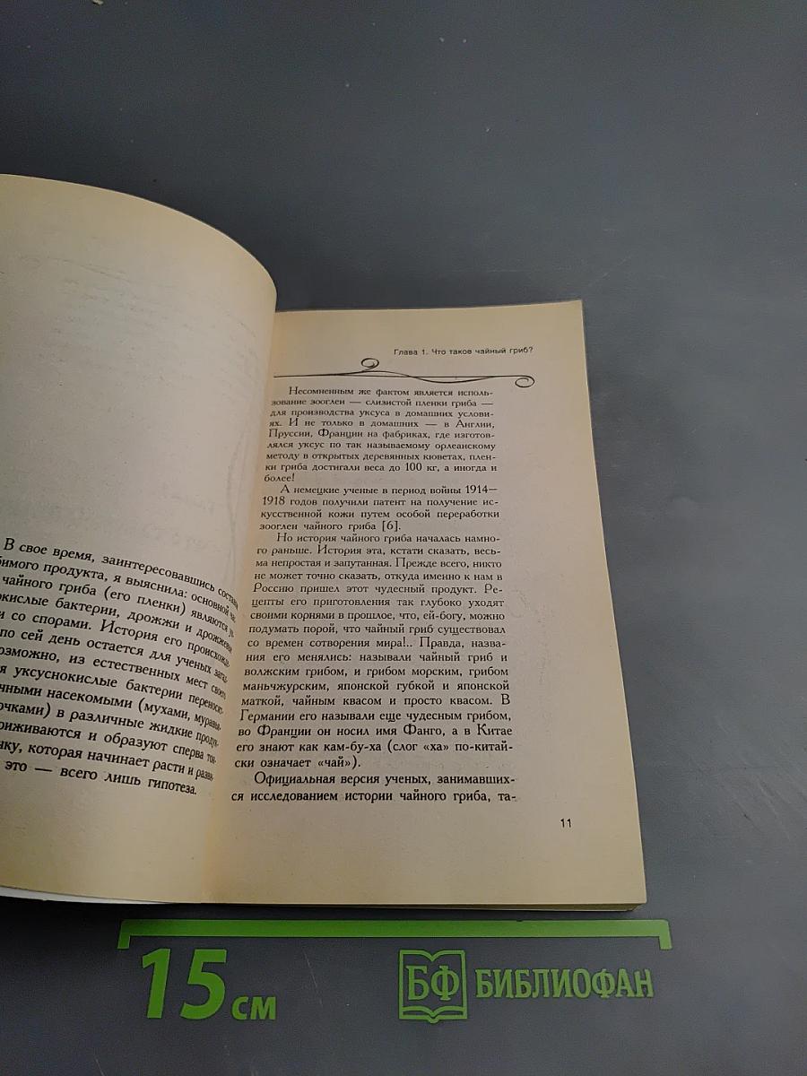 Чайный гриб - ваш семейный доктор