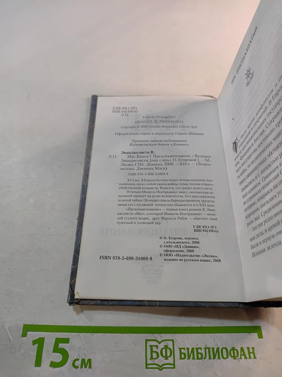 Маг. Книга I. Предзнаменование. Книга-загадка. Дневник мага