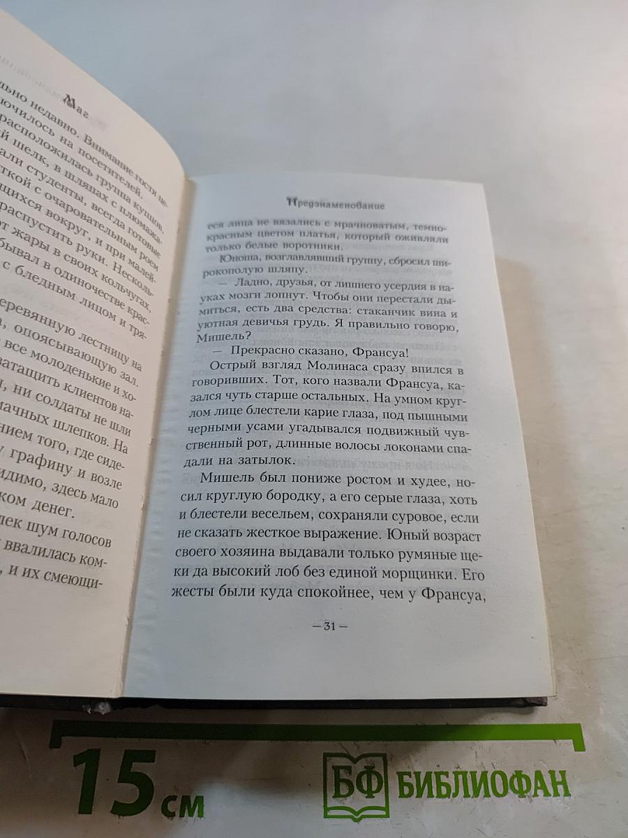 Маг. Книга I. Предзнаменование. Книга-загадка. Дневник мага
