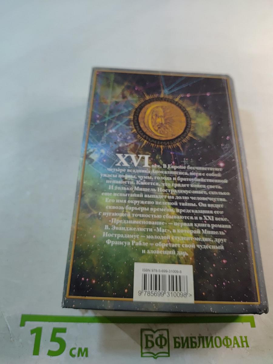 Маг. Книга I. Предзнаменование. Книга-загадка. Дневник мага