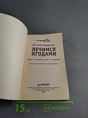 Лечимся ягодами