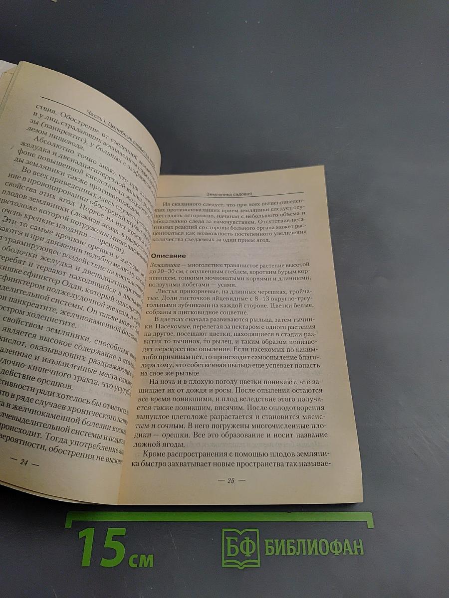 Лечимся ягодами