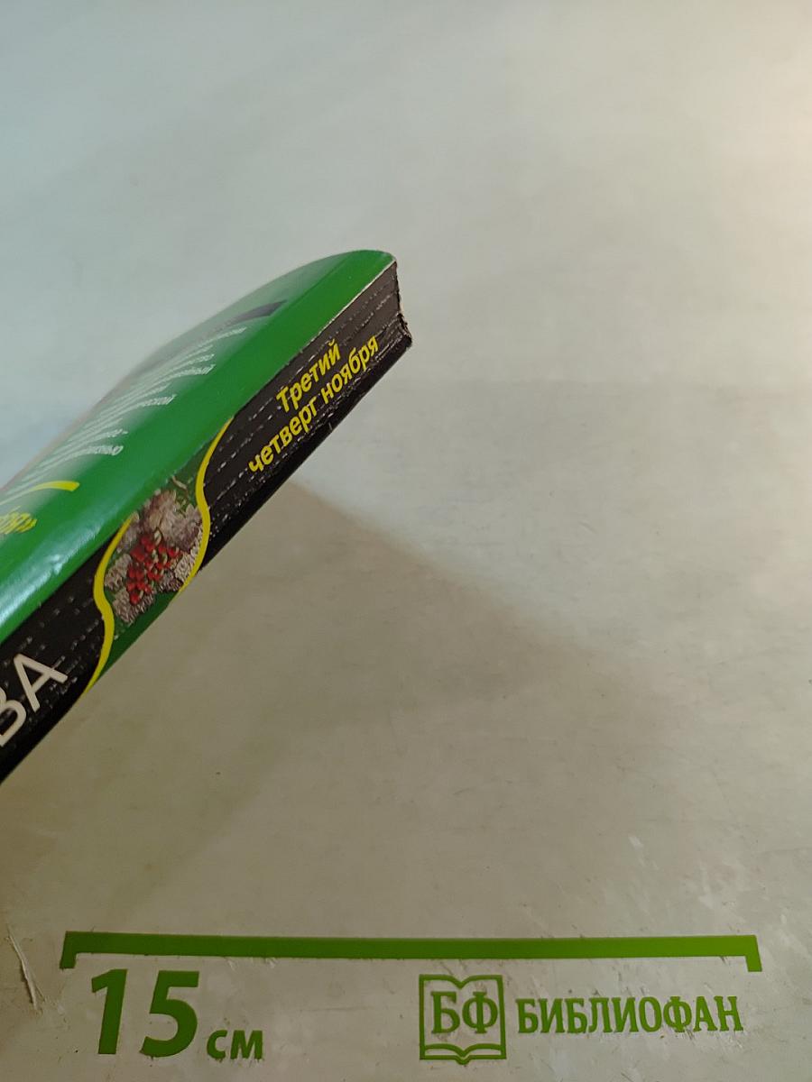 Третий четверг ноября