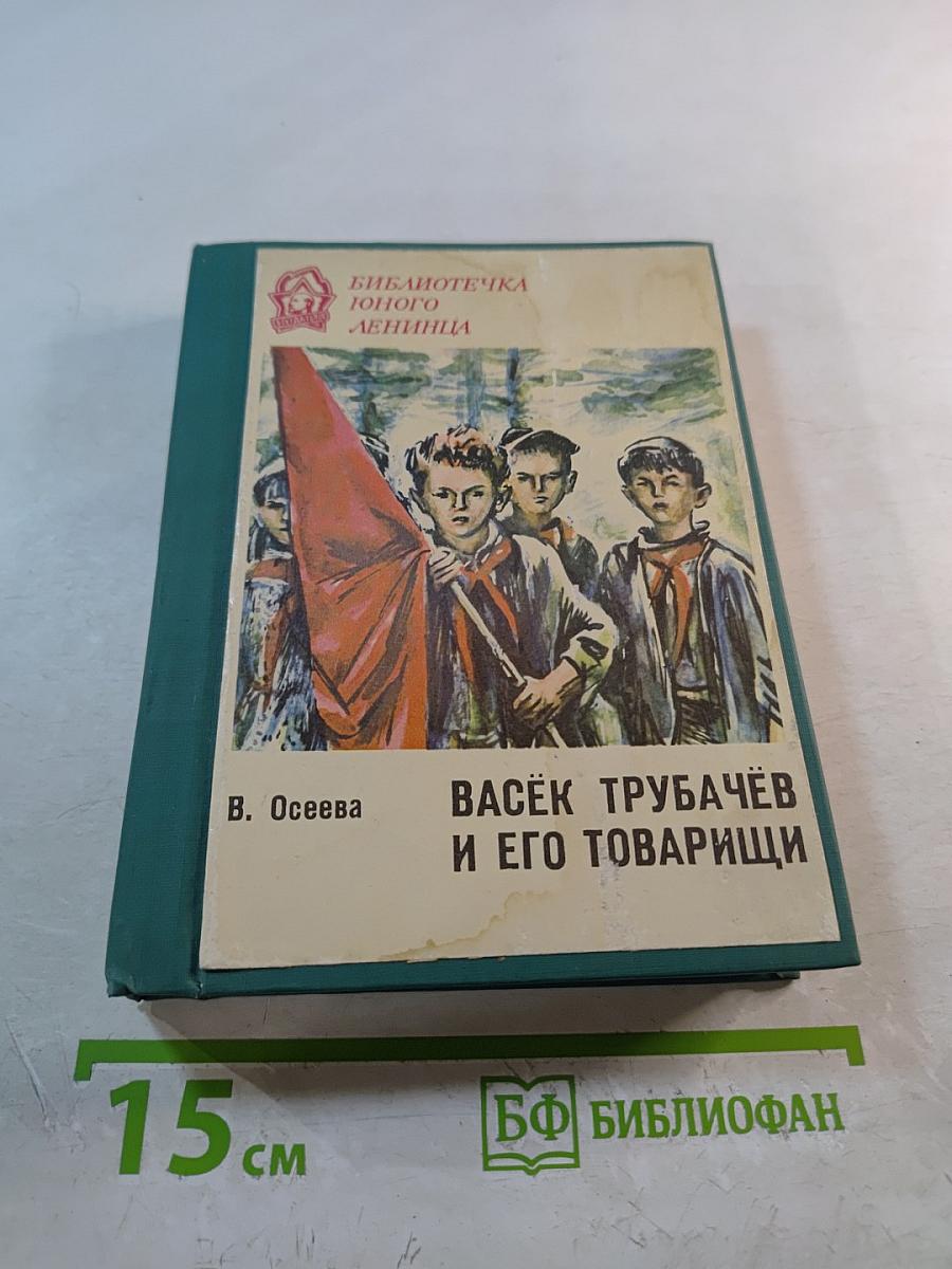 Васёк Трубачёв и его товарищи. Повесть. Книга 2