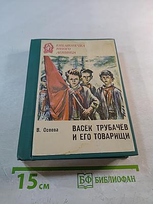 Васёк Трубачёв и его товарищи. Повесть. Книга 2