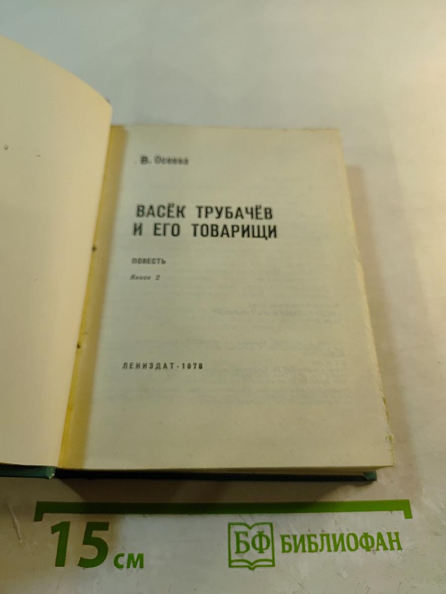 Васёк Трубачёв и его товарищи. Повесть. Книга 2