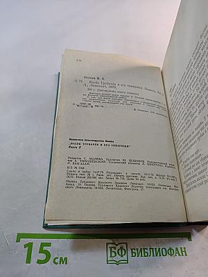 Васёк Трубачёв и его товарищи. Повесть. Книга 2