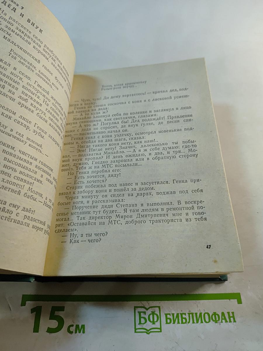 Васёк Трубачёв и его товарищи. Повесть. Книга 2