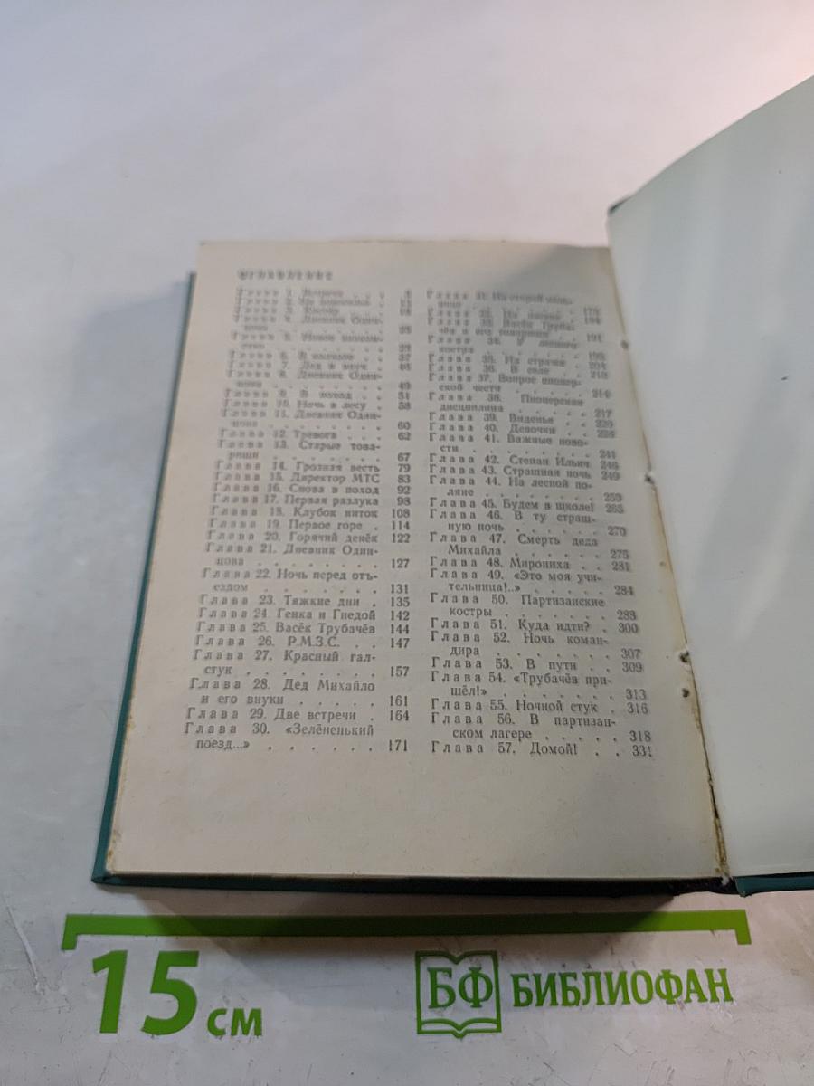 Васёк Трубачёв и его товарищи. Повесть. Книга 2