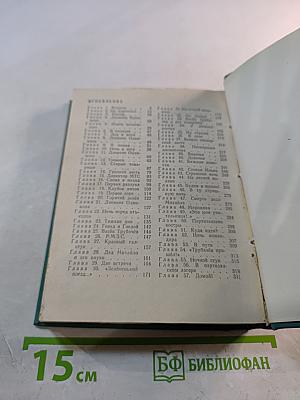 Васёк Трубачёв и его товарищи. Повесть. Книга 2