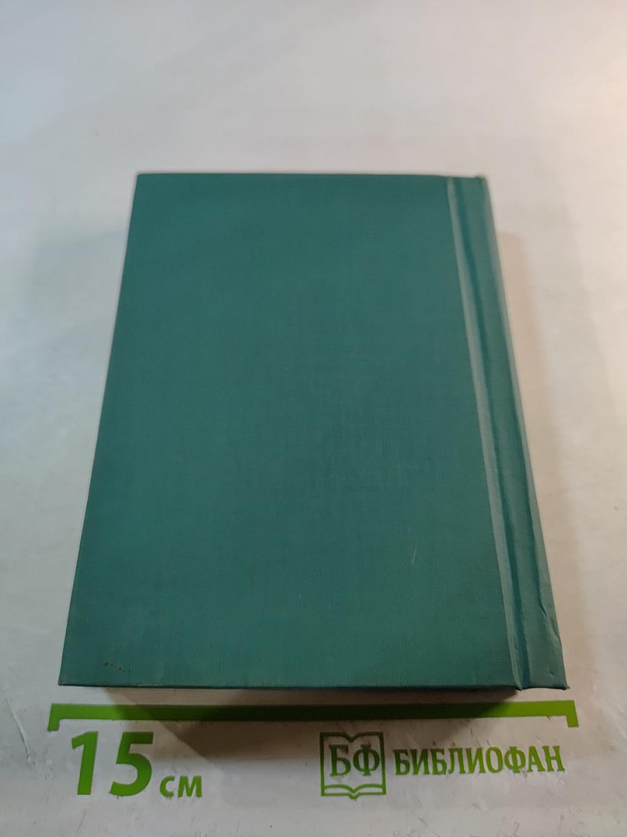 Васёк Трубачёв и его товарищи. Повесть. Книга 2