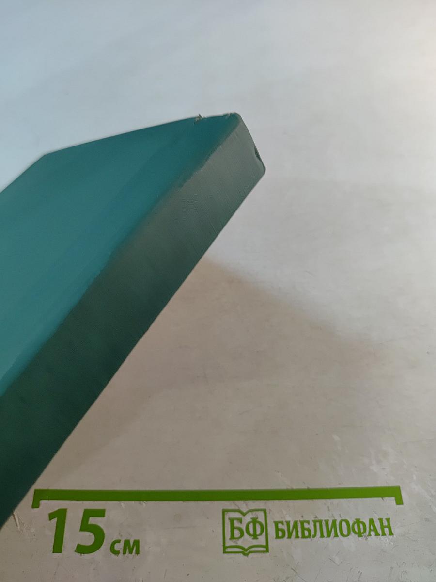 Васёк Трубачёв и его товарищи. Повесть. Книга 2